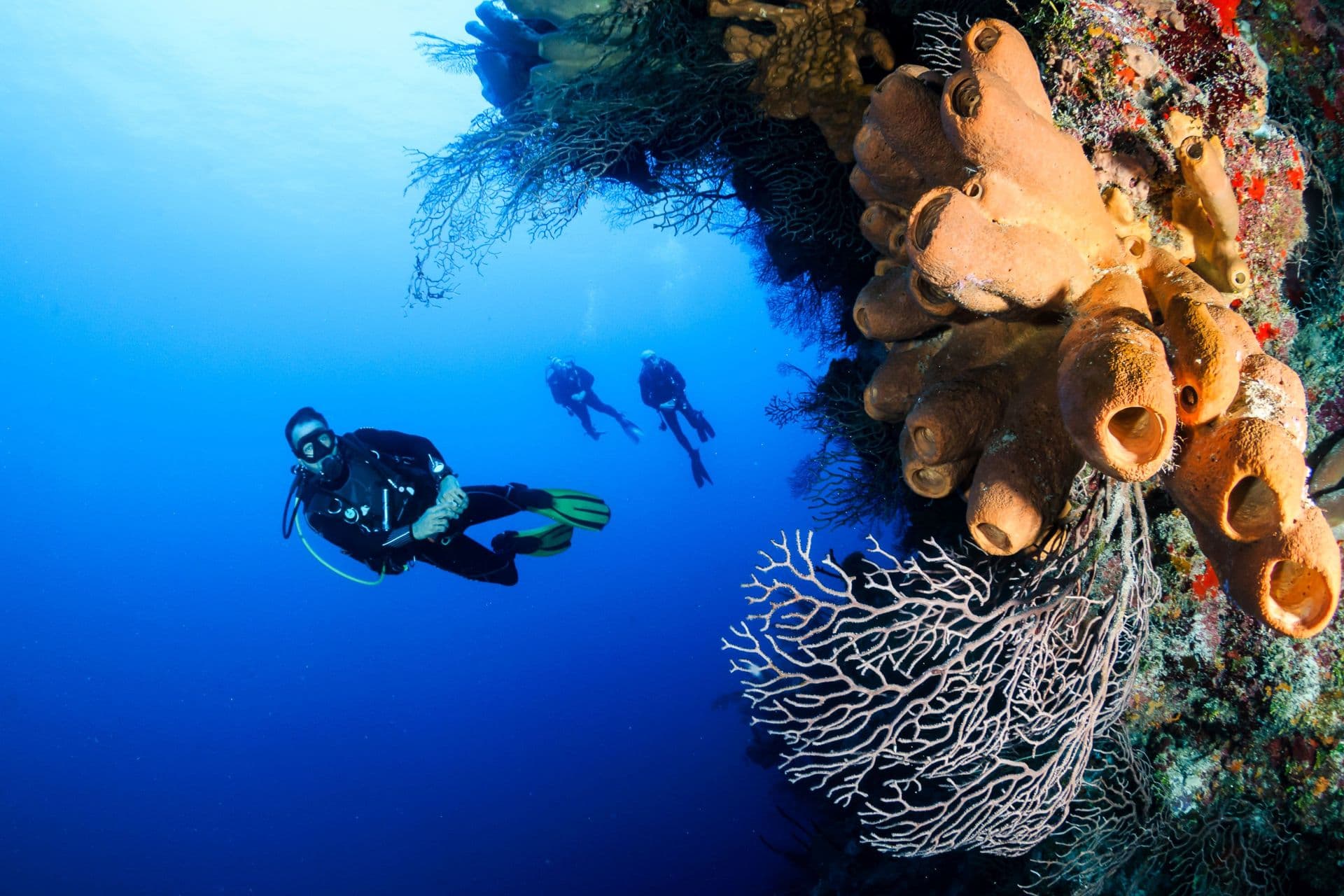 Diving in Raja Ampat