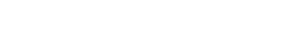 Tempo Co Logo White