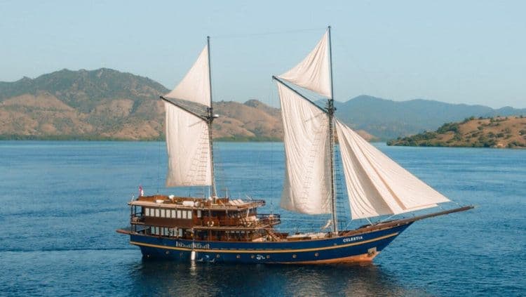 celestia-yacht_bu