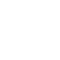 whatsapp white icon