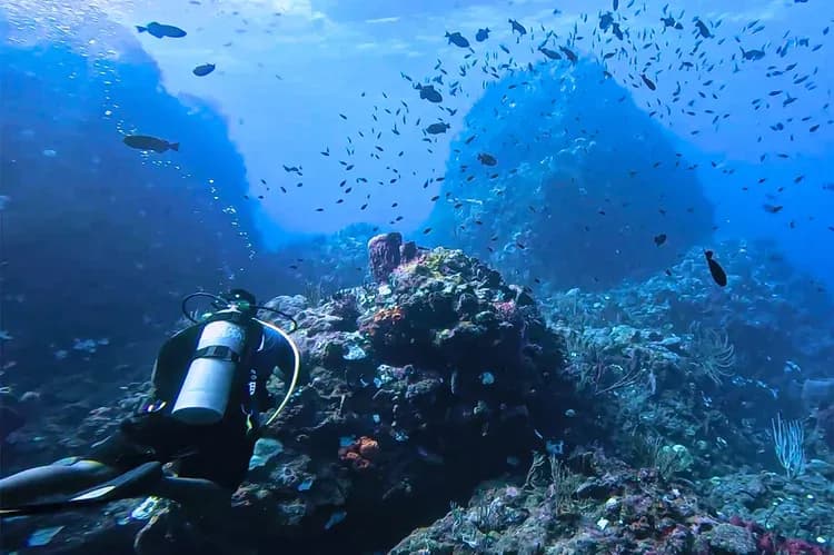 TAL-header-scuba-diving-saba-caribbean-netherlands-SCUBADIVES0624-7dcbefe6a7694df9be2c65e1c0ed4cb0