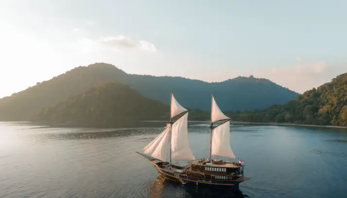 Screenshot 2024-10-29 at 11.48.47