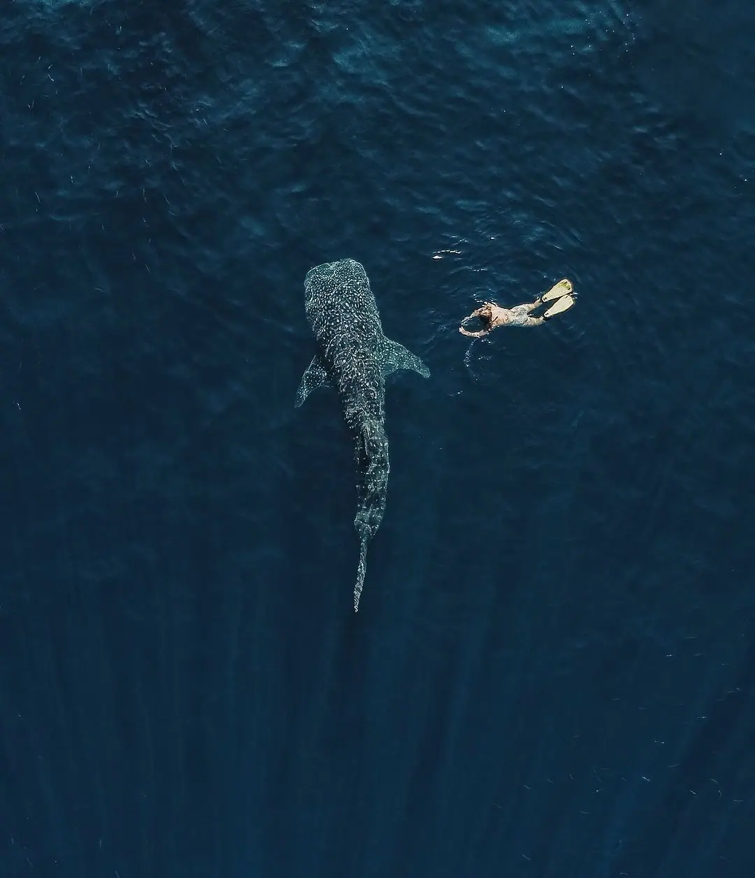 Snapinsta.app_459040067_18013704800535126_4129984742489004026_n_1080