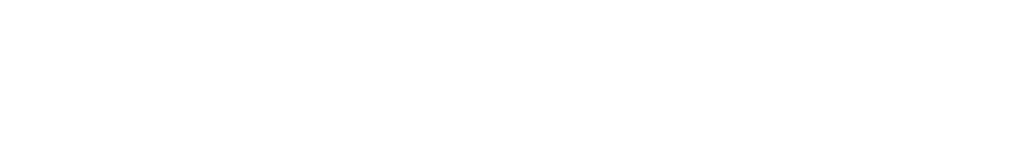 celestia-nautica-logotype